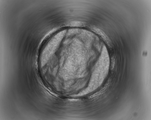 X0000098180392200805151145