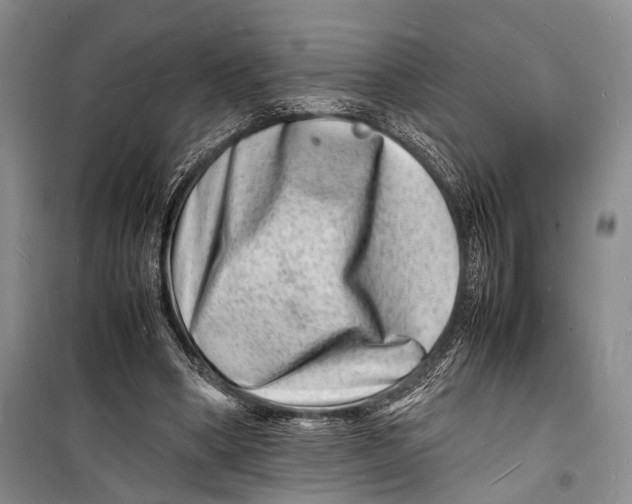 X0000098180394200805151145