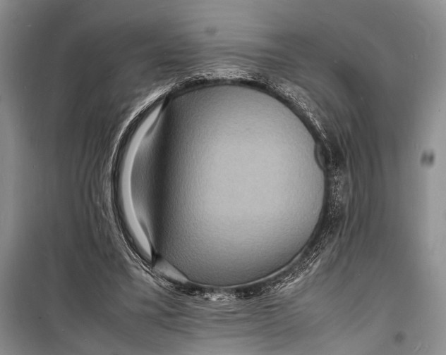 X0000098180395200805151145