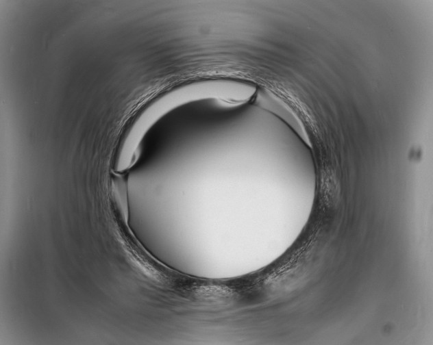 X0000098180397200805151145