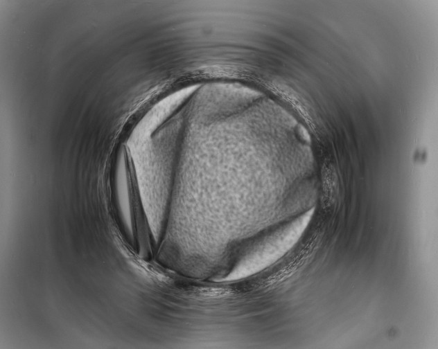 X0000098180398200805151145