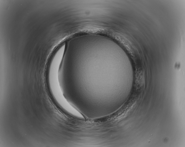 X0000098180399200805151145