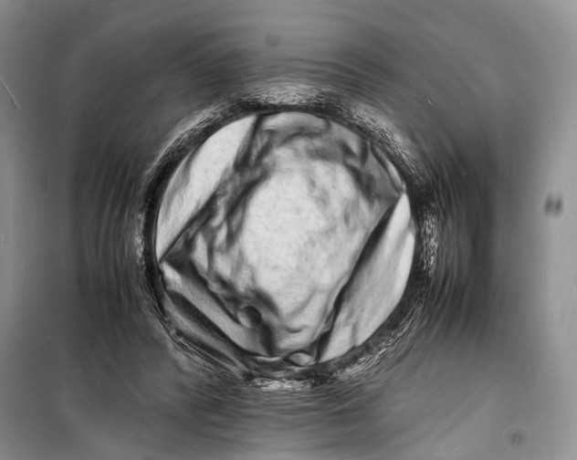 X0000098180400200805151145