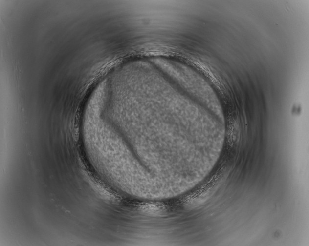 X0000098180402200805151145