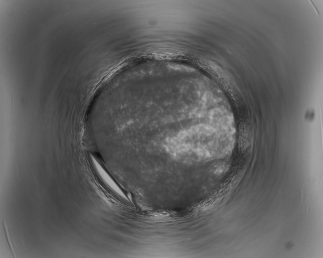 X0000098180405200805151145