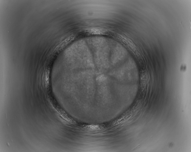 X0000098180406200805151145