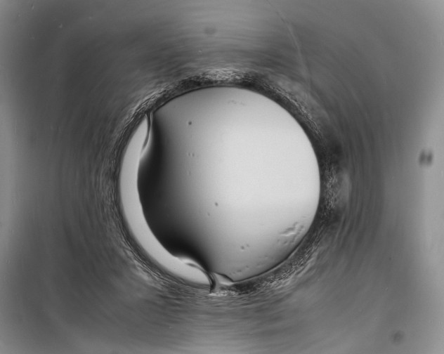 X0000098180407200805151145