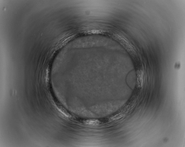 X0000098180410200805151145