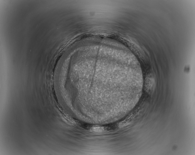 X0000098180413200805151145