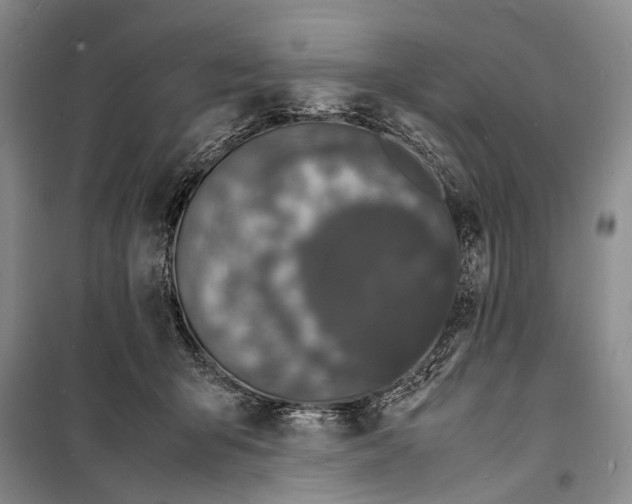 X0000098180415200805151145