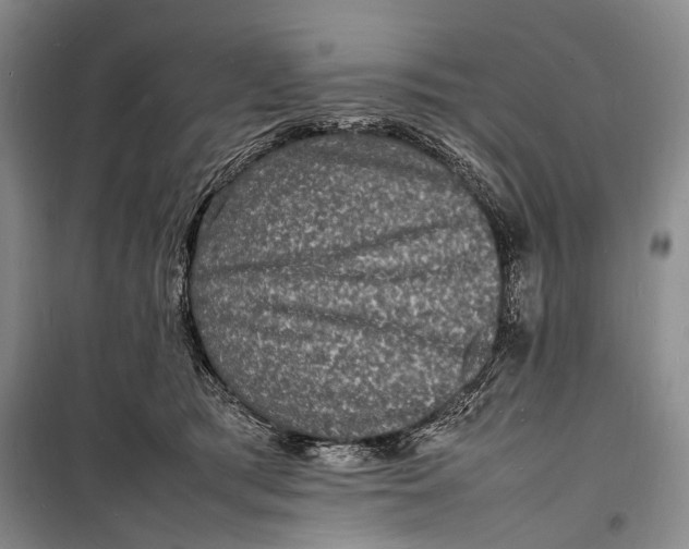 X0000098180417200805151145