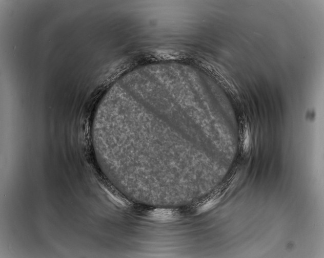 X0000098180418200805151145