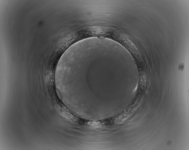 X0000098180419200805151145