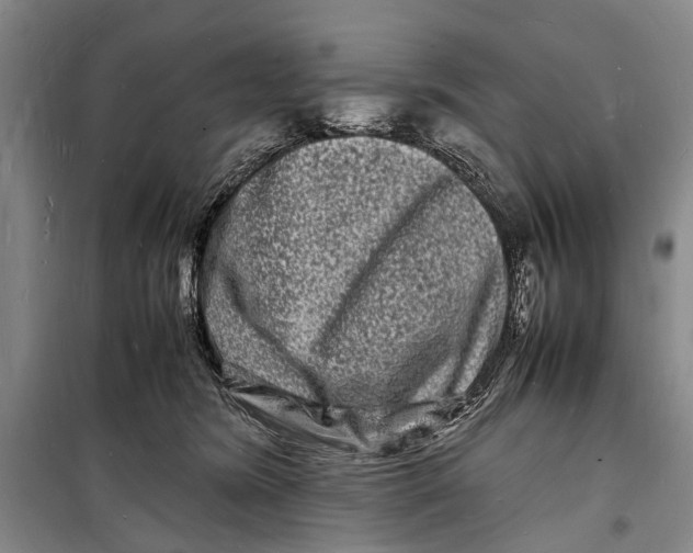 X0000098180420200805151145