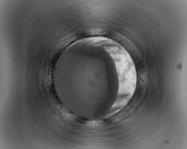 X0000098180422200805151145