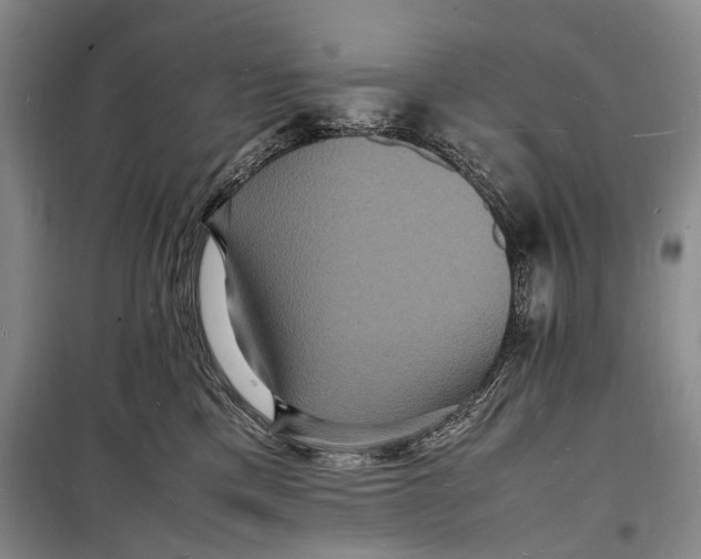 X0000098180425200805151145