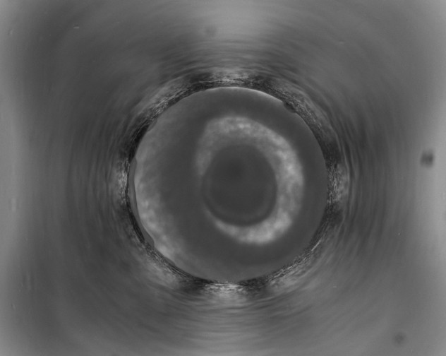 X0000098180427200805151145