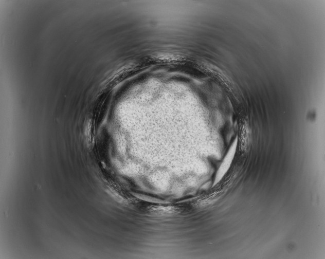 X0000098180428200805151145