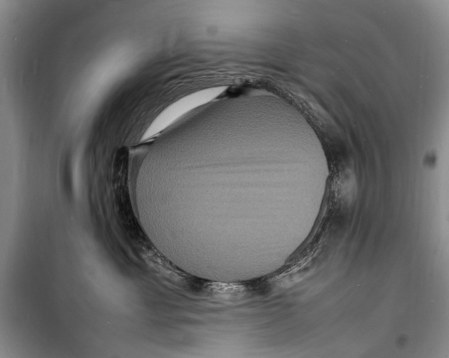 X0000098180429200805151145