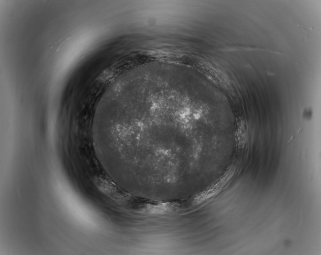 X0000098180430200805151145