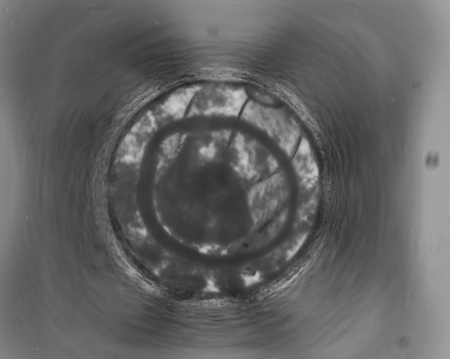 X0000098180433200805151144