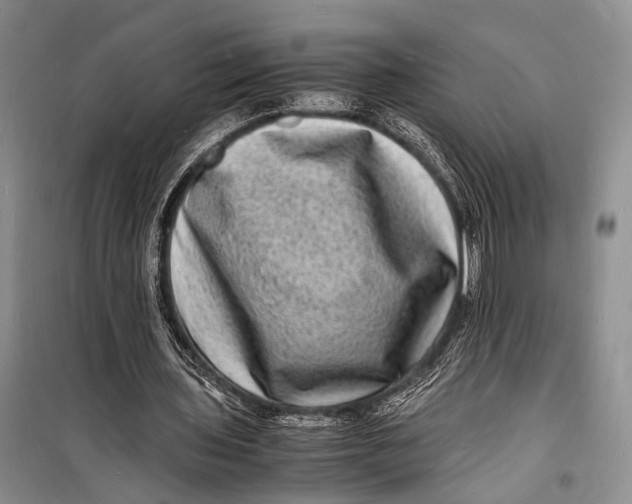 X0000098180435200805151144