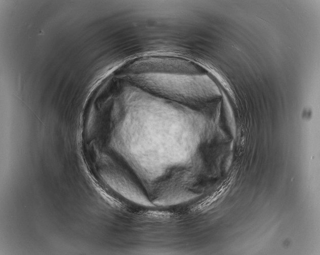 X0000098180437200805151144