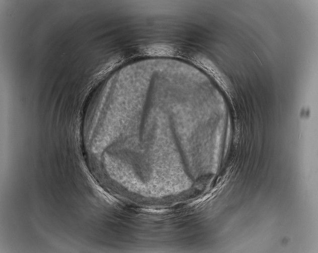 X0000098180441200805151144