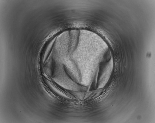 X0000098180443200805151144