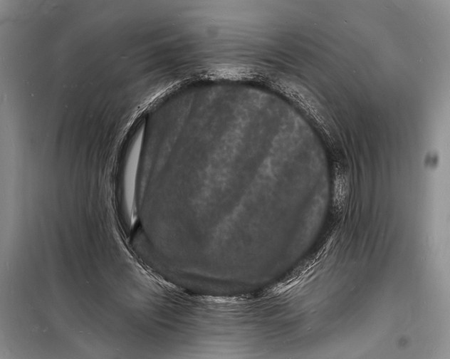 X0000098180444200805151144