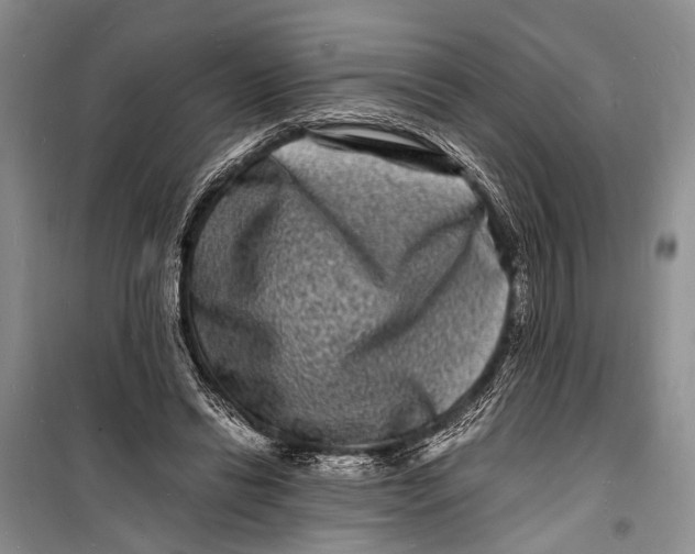 X0000098180446200805151144