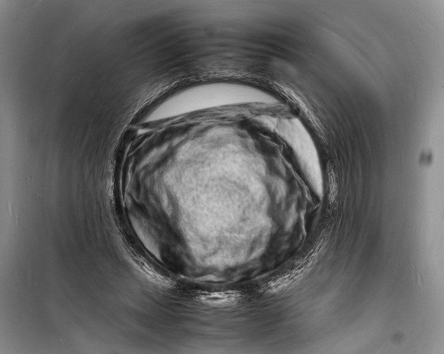 X0000098180447200805151144