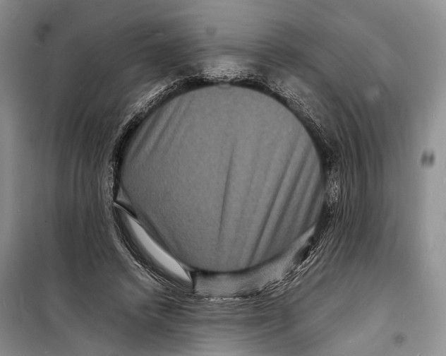 X0000098180448200805151144