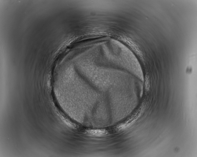 X0000098180449200805151144