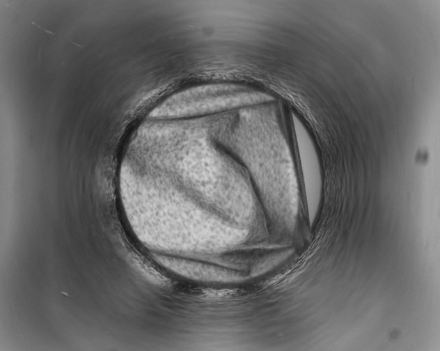 X0000098180450200805151144