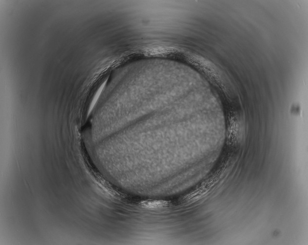 X0000098180452200805151144