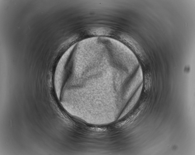 X0000098180453200805151144