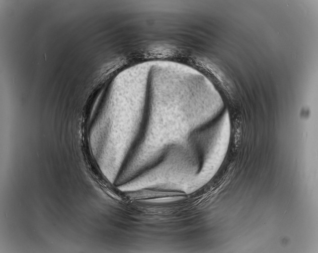 X0000098180455200805151144