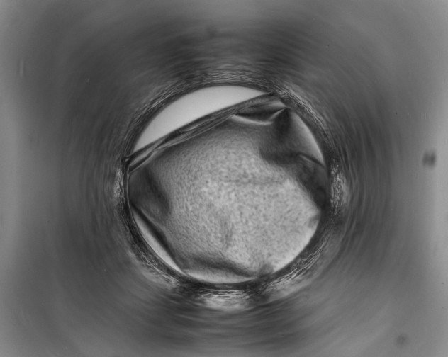 X0000098180459200805151144