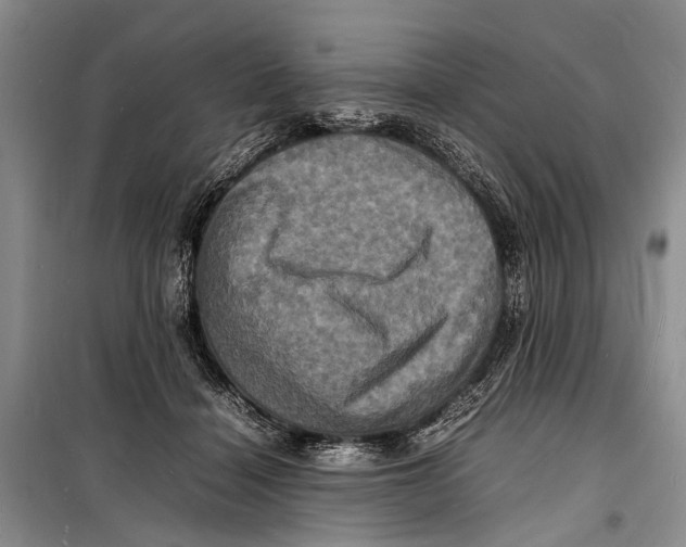 X0000098180460200805151144