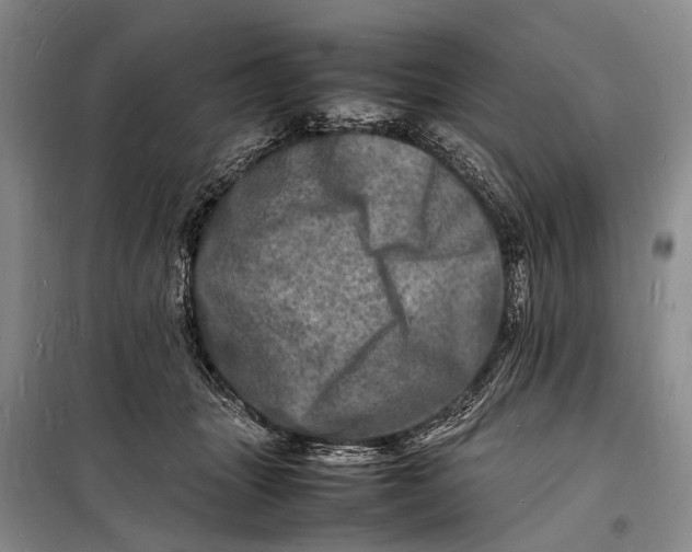 X0000098180463200805151144