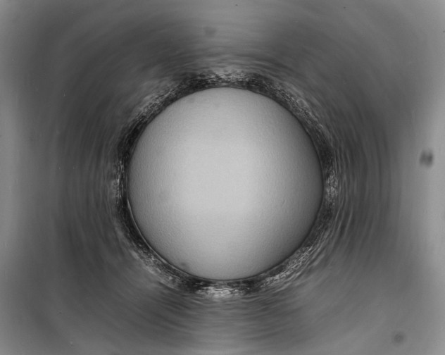 X0000098180464200805151144