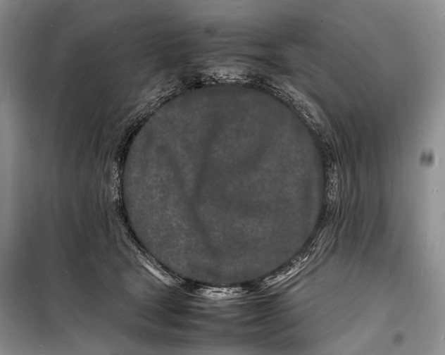 X0000098180465200805151144