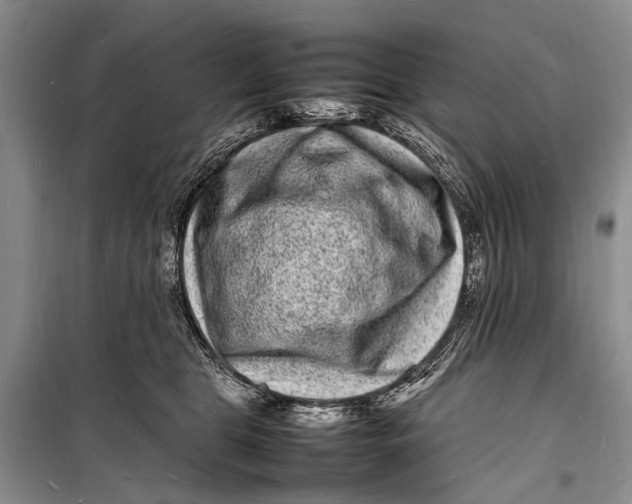 X0000098180469200805151144