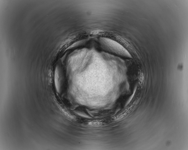 X0000098180470200805151144