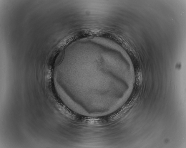 X0000098180472200805151145