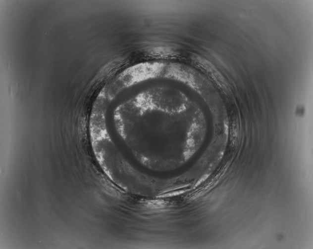 X0000098180473200805151145