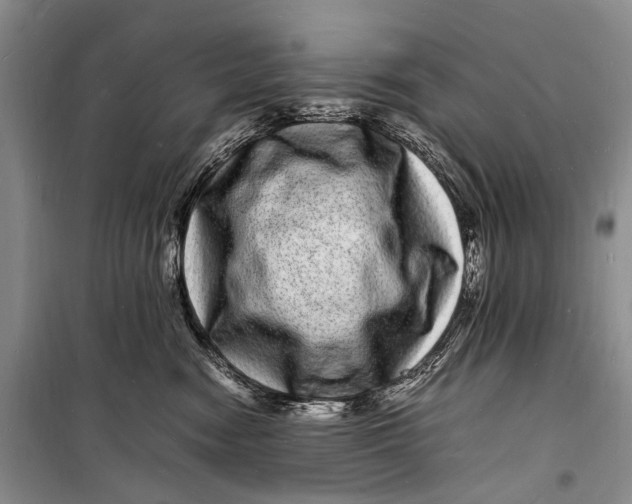 X0000098180474200805151145