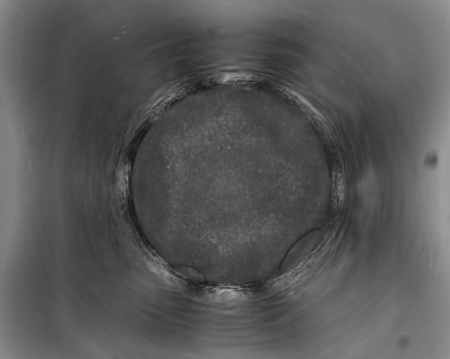 X0000098180475200805151145