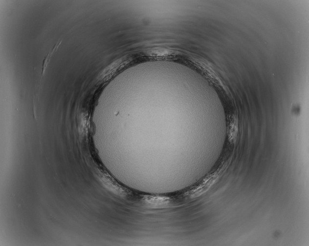 X0000098180476200805151145